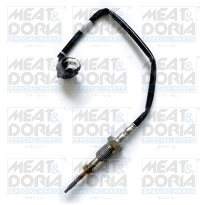 Sensor, exhaust gas temperature